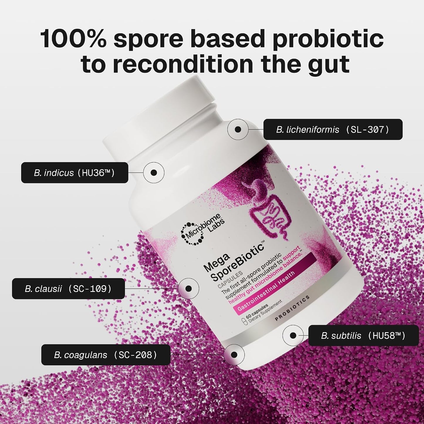 Microbiome Labs MegaSporeBiotic Daily Probiotic for Women + Men